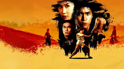 Kung Fu: The Punch of Death