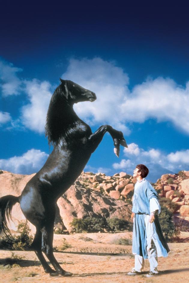 The Black Stallion Returns