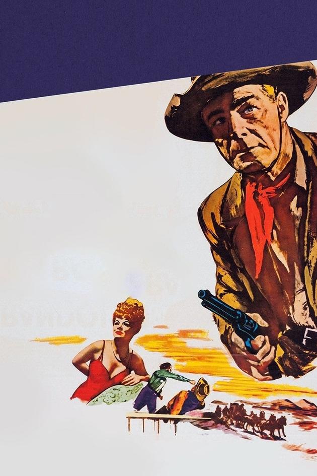 The Stranger Wore a Gun