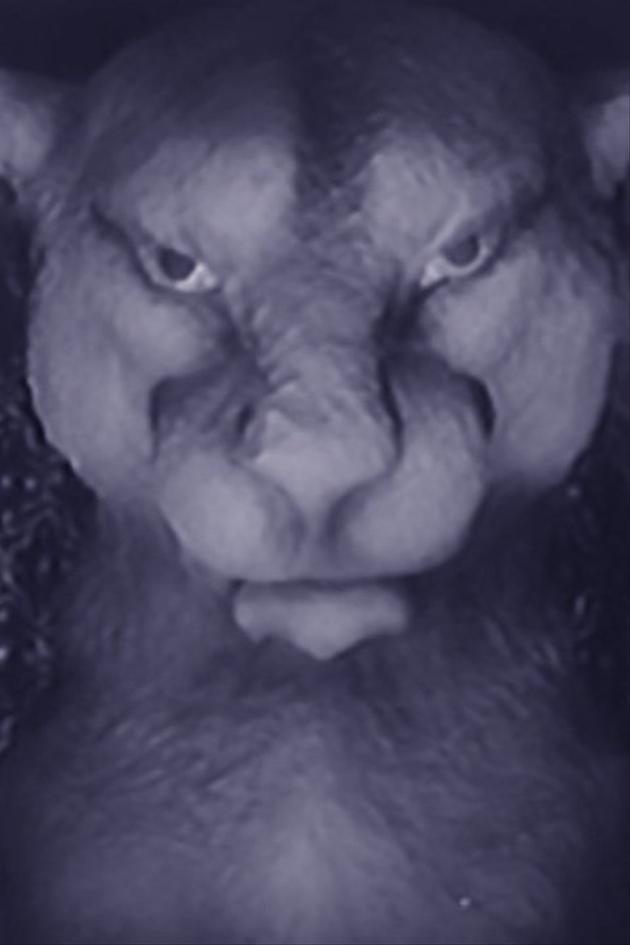 Chandu on the Magic Island