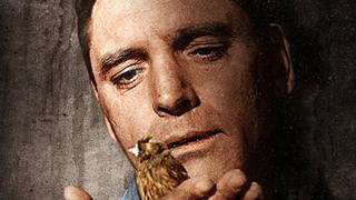 Birdman of Alcatraz