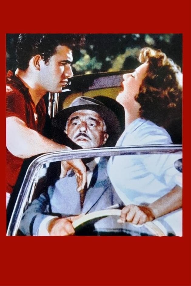 It Happened in the Park