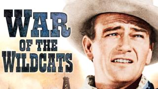  watch War of the Wildcats