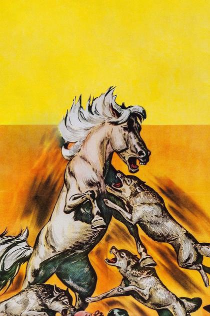 Wild Stallion
