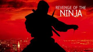 Revenge of the Ninja