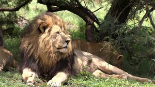 Africa 2 Africa 2