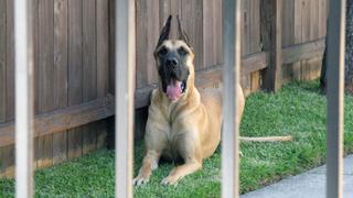 Healing the Hoarded Healing the Hoarded