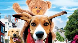 Aussie & Ted's Great Adventure