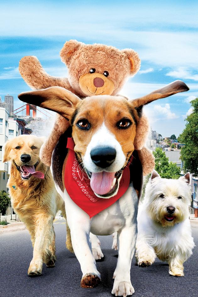 Aussie & Ted's Great Adventure