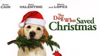 The Dog Who Saved Christmas