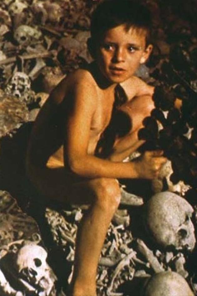 The Tree of Guernica