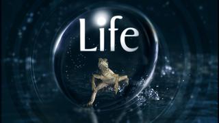 Life
