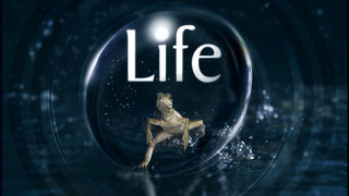 Life