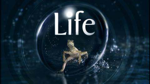 Life