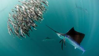 Challenges of Life Challenges of Life