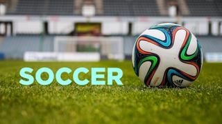 International Friendly: Brazil vs. Tunisia International Friendly: Brazil vs. Tunisia