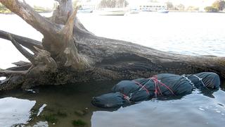 I (Almost) Got Away With It