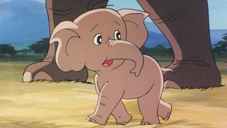 Baby Elephant Pook
