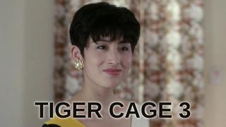 Tiger Cage 3