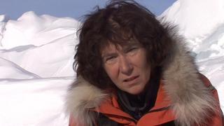 Arctic Winter Arctic Winter