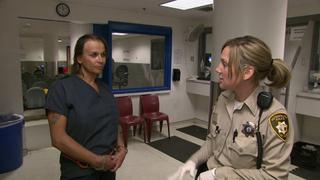 Stripper Hygienist Stripper Hygienist