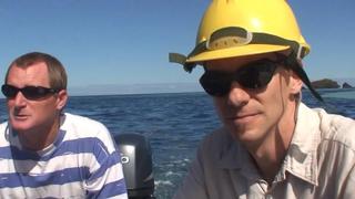 Polynesian Volcanoes Polynesian Volcanoes