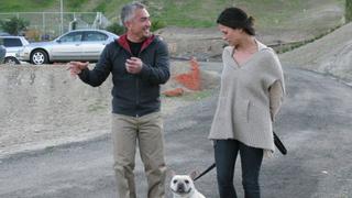 A Dog and His Boy; Mobile Vet