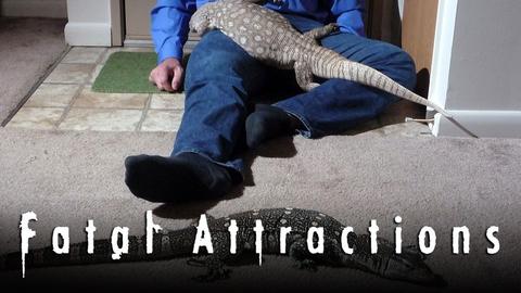 Fatal Attractions