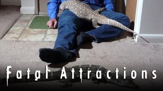 Fatal Attractions
