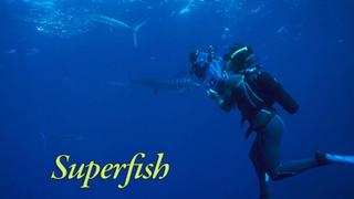 Superfish