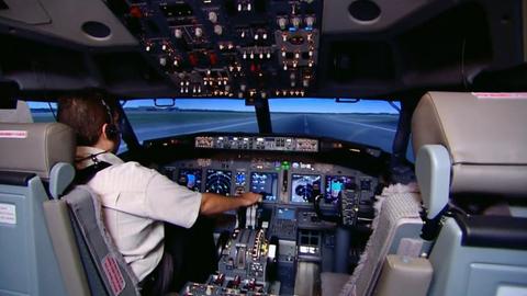 Flight Simulators; Traditional Bookbinding; Greenhouse Tomatoes