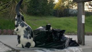 Hoarding: Buried Alive