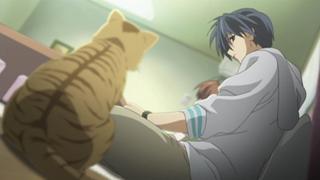 The Season You Were In