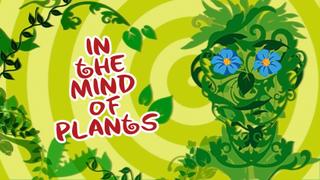 In the Mind of Plants