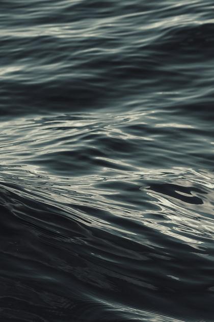 Dark Waters of Crime
