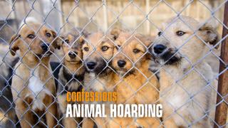  watch Confessions: Animal Hoarding