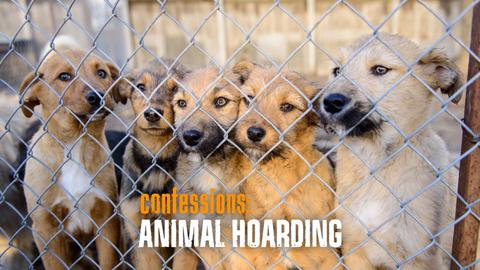 Confessions: Animal Hoarding