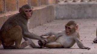 Deliverance Deliverance