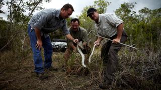 The Big Freeze The Big Freeze