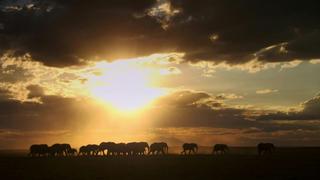 The Dangerous Dry Season