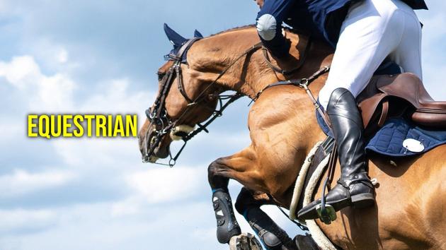 Equestrian