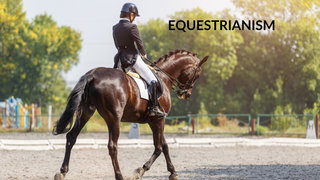 Equestrianism