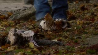The Mystery of the Disembodied Feet The Mystery of the Disembodied Feet