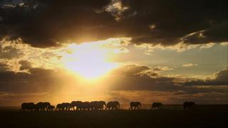 Saved by the Rains Saved by the Rains