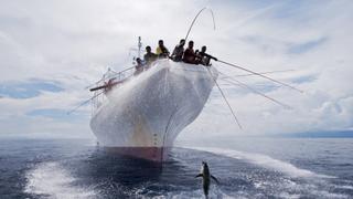 Fragile Paradise Fragile Paradise