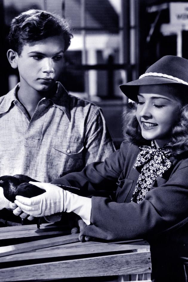 Nancy Drew, Detective