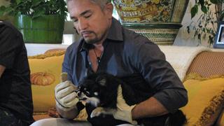 Howie Mandel's Big Deal