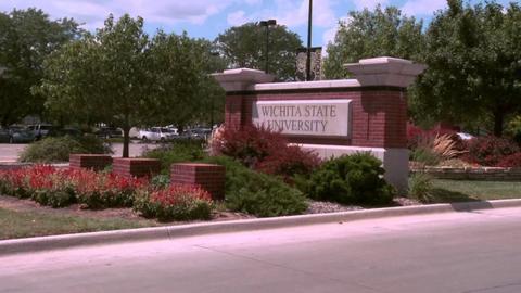 Ultra-Light Aviation & Aircraft Auctions