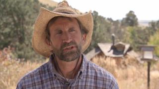 Wolf-Dogs: Out of the Wild Wolf-Dogs: Out of the Wild