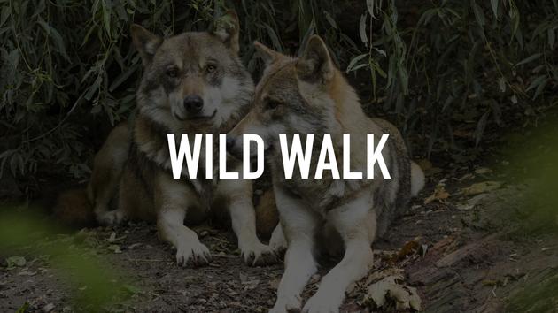 Wild Walk